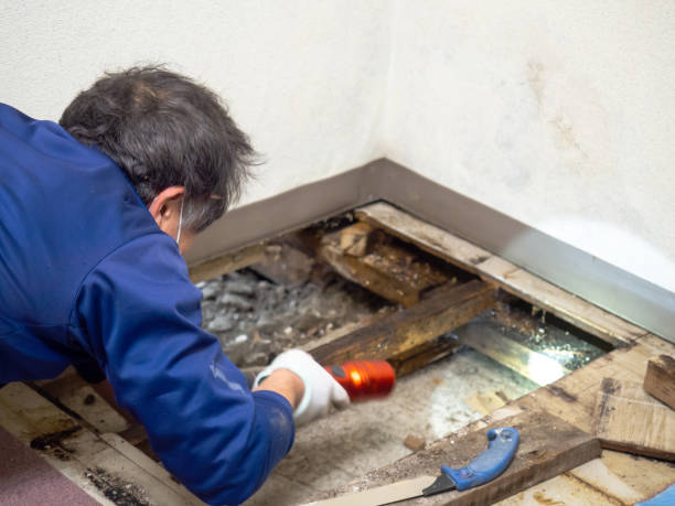 Best Water Damage Restoration  in West Reading, PA