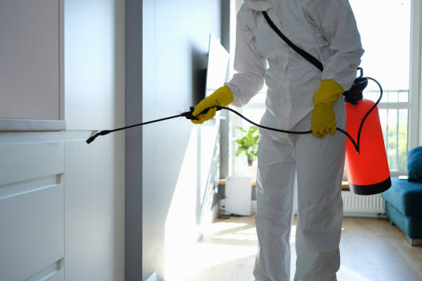 Trusted West Reading, PA Mold Removal Experts