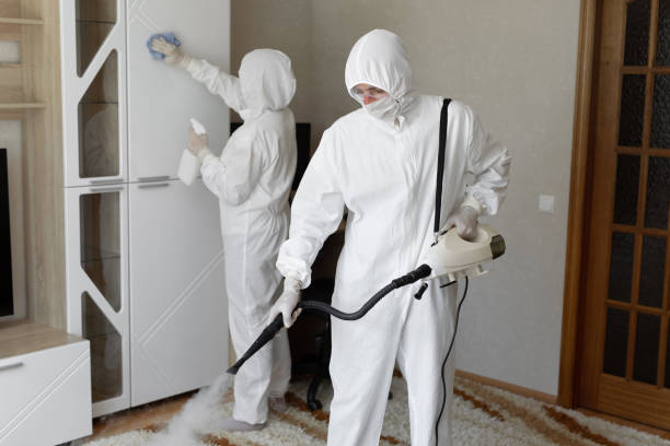 Mold Removal Process in West Reading, PA