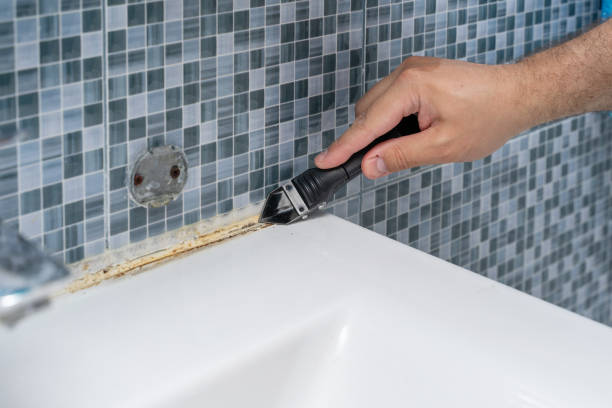 Best Emergency Mold Removal  in West Reading, PA